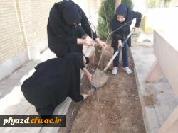 روز درختکاری