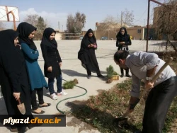 روز درختکاری