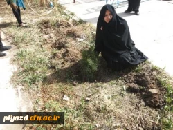 روز درختکاری