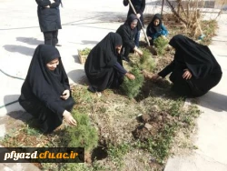 روز درختکاری