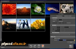 نرم افزار مدیریت عکس