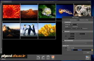 نرم افزاری جذاب و کاربردی برای مدیریت عکس ها در ویندوز
