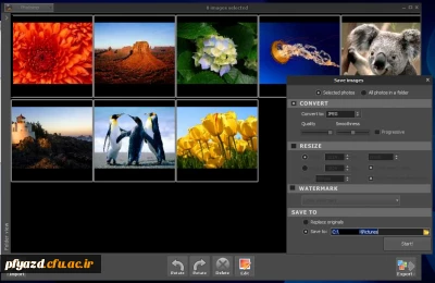نرم افزاری جذاب و کاربردی برای مدیریت عکس ها در ویندوز