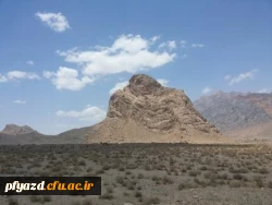 اردوی عکاسی