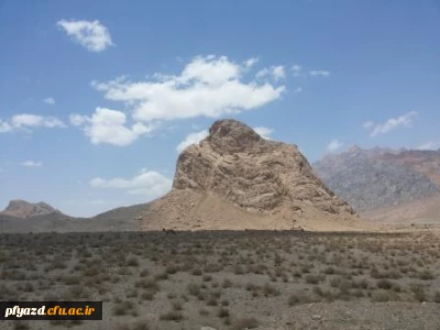 گزارش تصویری از اردوی کلاس عکاسی استاد سلمان زاده در روستای اسلامیه تفت