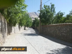 اردوی عکاسی