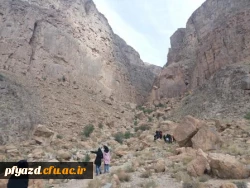 اردوی عکاسی