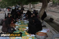 اردوی عکاسی