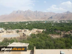 اردوی عکاسی