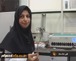 تعیین دقیق جنسیت در مراحل اولیه تشکیل جنین