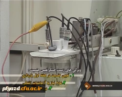 تعیین دقیق جنسیت در مراحل اولیه تشکیل جنین