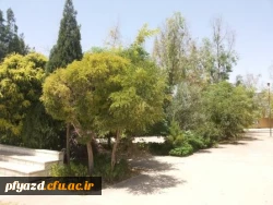 گزارش تصویری از خوابگاه ( محل جدید پردیس ) 11