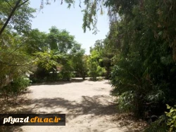 گزارش تصویری از خوابگاه ( محل جدید پردیس ) 14