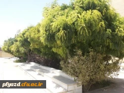 گزارش تصویری از خوابگاه ( محل جدید پردیس ) 18