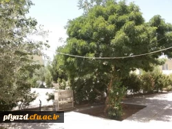 گزارش تصویری از خوابگاه ( محل جدید)