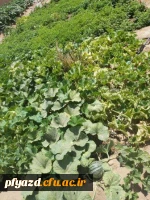 گزارش تصویری از خوابگاه ( محل جدید)