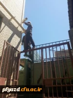 جابجایی پردیس