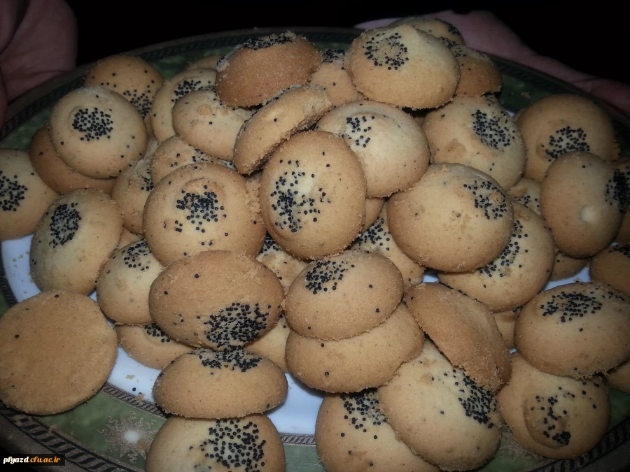 محفل شبی با شهدا 7