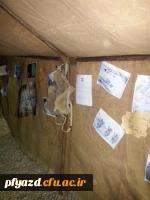 محفل شبی با شهدا 9