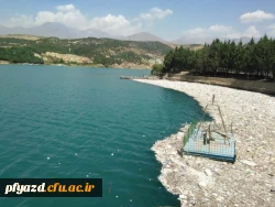 همایش تخصصی رویش دانشجومعلمان خواهر دانشگاه فرهنگیان در پردیس 3