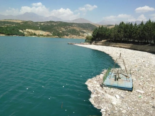 همایش تخصصی رویش دانشجومعلمان خواهر دانشگاه فرهنگیان در پردیس 3