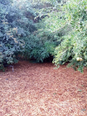 همایش تخصصی رویش دانشجومعلمان خواهر دانشگاه فرهنگیان در پردیس 8