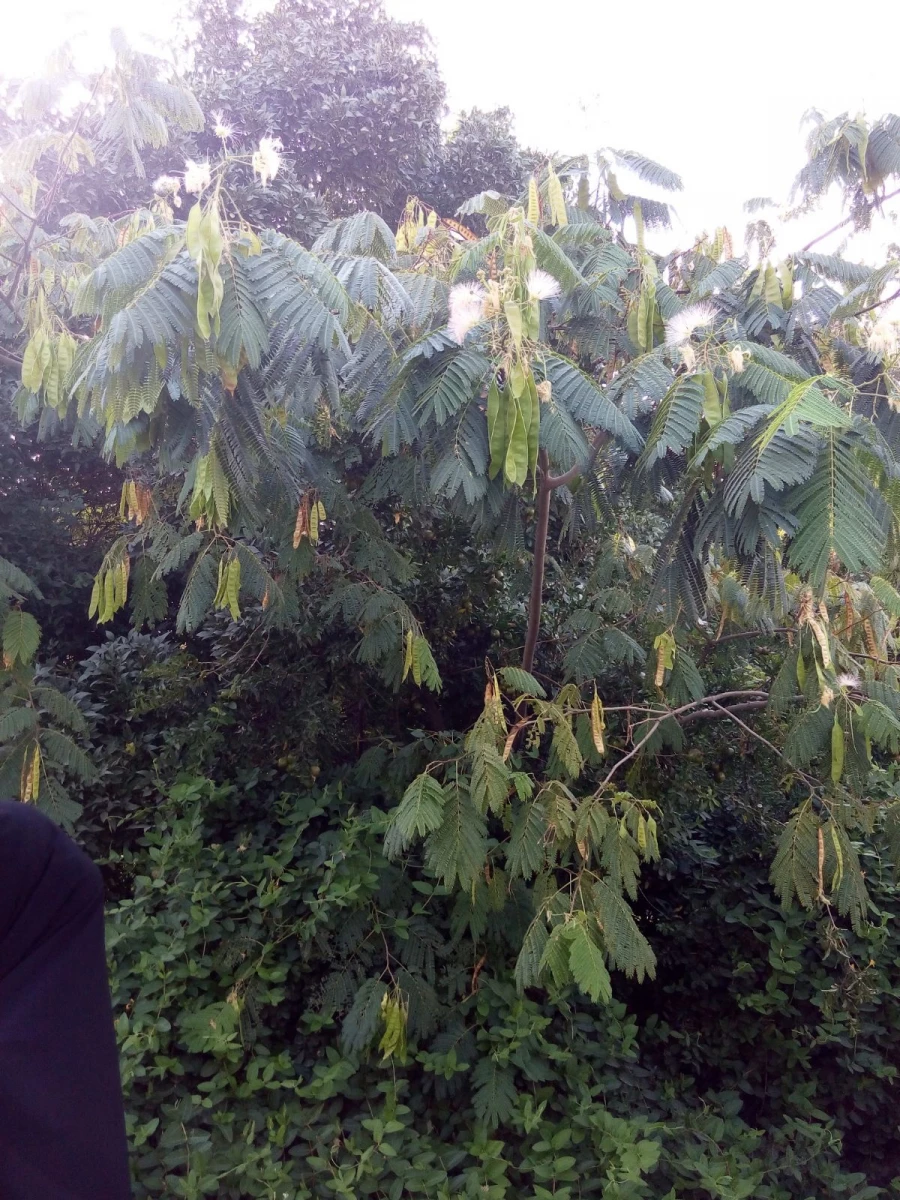 همایش تخصصی رویش دانشجومعلمان خواهر دانشگاه فرهنگیان در پردیس 9