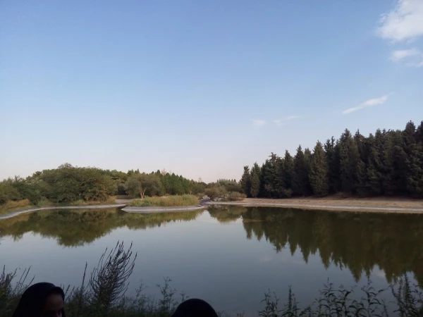 همایش تخصصی رویش دانشجومعلمان خواهر دانشگاه فرهنگیان در پردیس 10