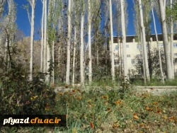 گزارش تصویری اردوی سانیج  5