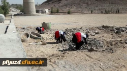 هفته تربیت بدنی بهانه ای برای حفاظت از طبیعت 5