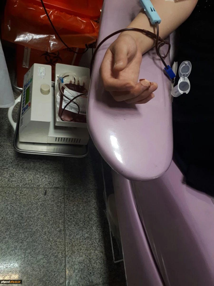 اهدای خون دانشجویان پردیس  3