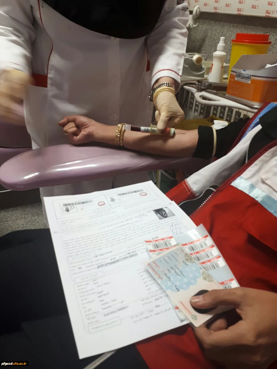 photo5789704516344589026