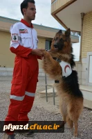 گزارش تصویری از مانور زلزله 6