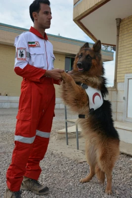 گزارش تصویری از مانور زلزله 6