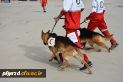 گزارش تصویری از مانور زلزله 11