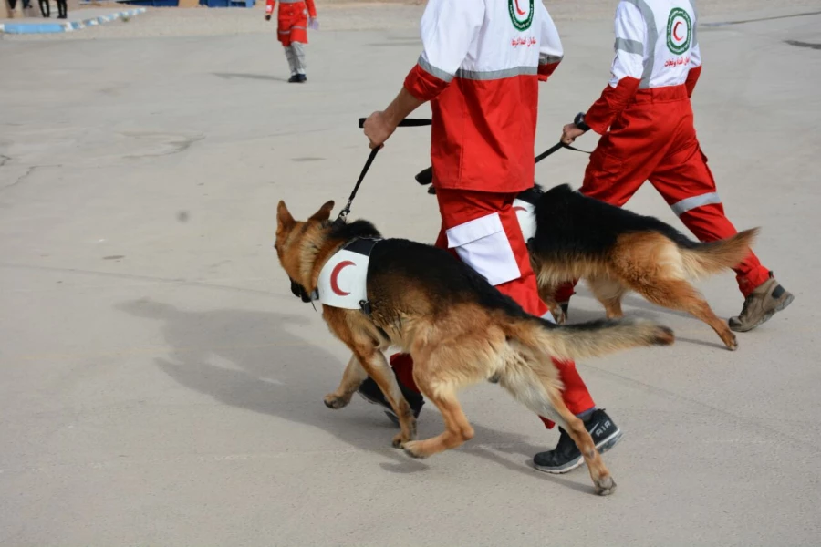 گزارش تصویری از مانور زلزله 11