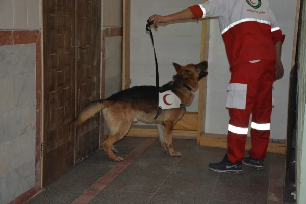 گزارش تصویری از مانور زلزله 24