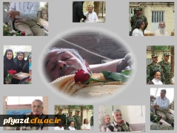 بزرگداشت روز جانباز 2