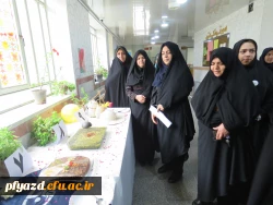 برگزاری جشنواره غذا 7