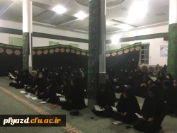 photo5918141514716917716