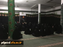 photo5918141514716917718