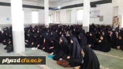 کرسی آزاد اندیشی 4