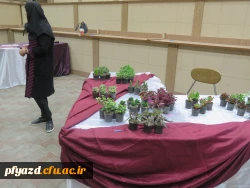 برپایی بازارچه خیریه 2