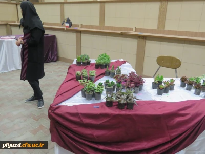 برپایی بازارچه خیریه