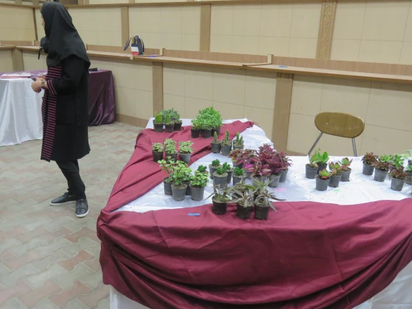 برپایی بازارچه خیریه 2