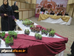 برپایی بازارچه خیریه 3