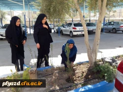 روز درختکاری 2