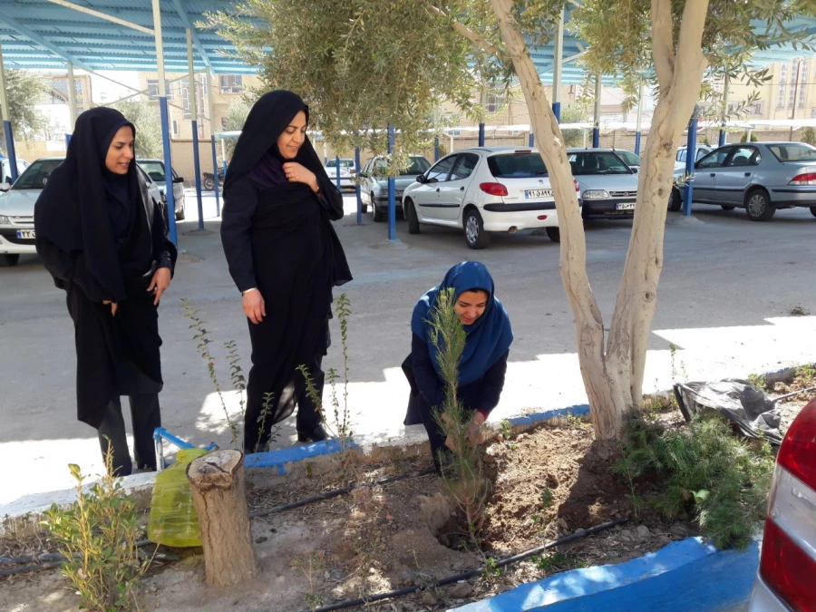 روز درختکاری 2