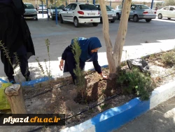 روز درختکاری 3