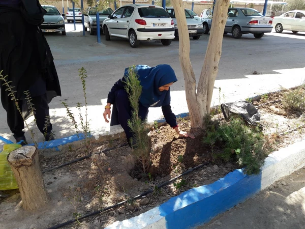 روز درختکاری 3